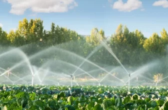 How Do I Build a Natural Watering System for My Garden?